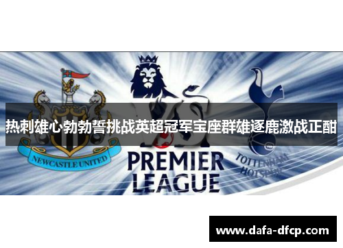 热刺雄心勃勃誓挑战英超冠军宝座群雄逐鹿激战正酣
